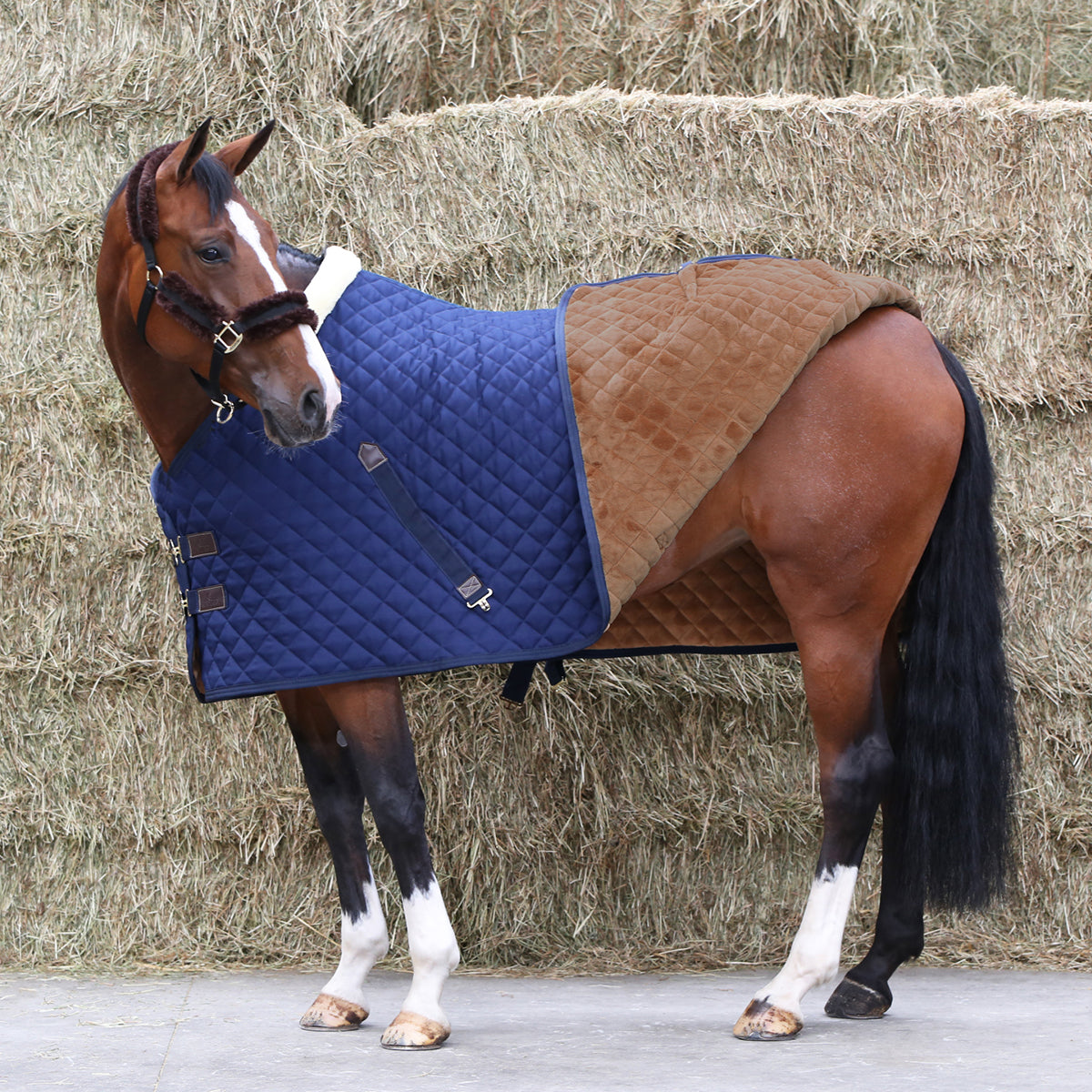 Staldeken Kentucky 400gr Donkerblauw - Epplejeck